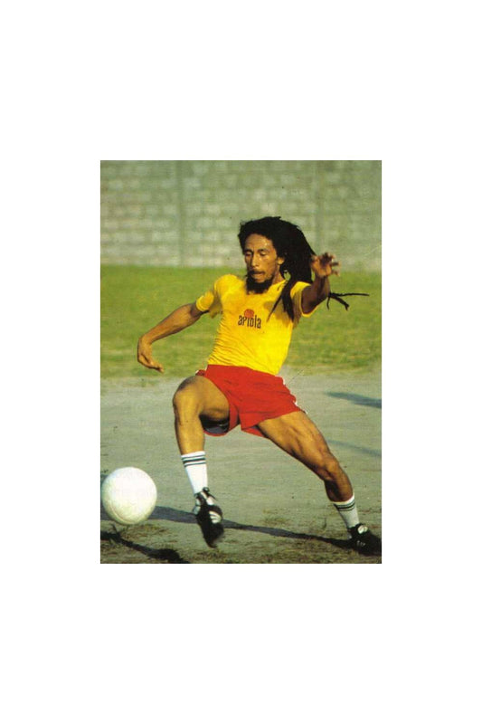 Ska & Soul Men's SS2563 'Ariola' Marley Peached T-Shirt Mustard Yellow